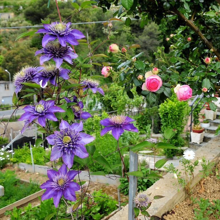 فيلا Le Rose San Biagio della Cima المظهر الخارجي الصورة