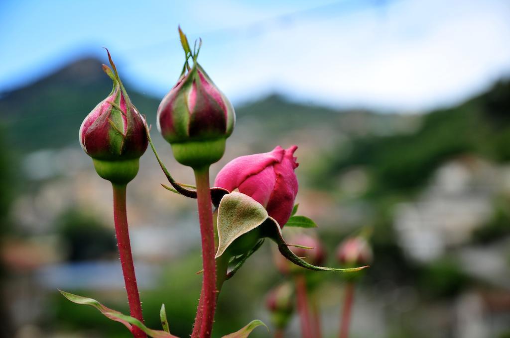 فيلا Le Rose San Biagio della Cima المظهر الخارجي الصورة