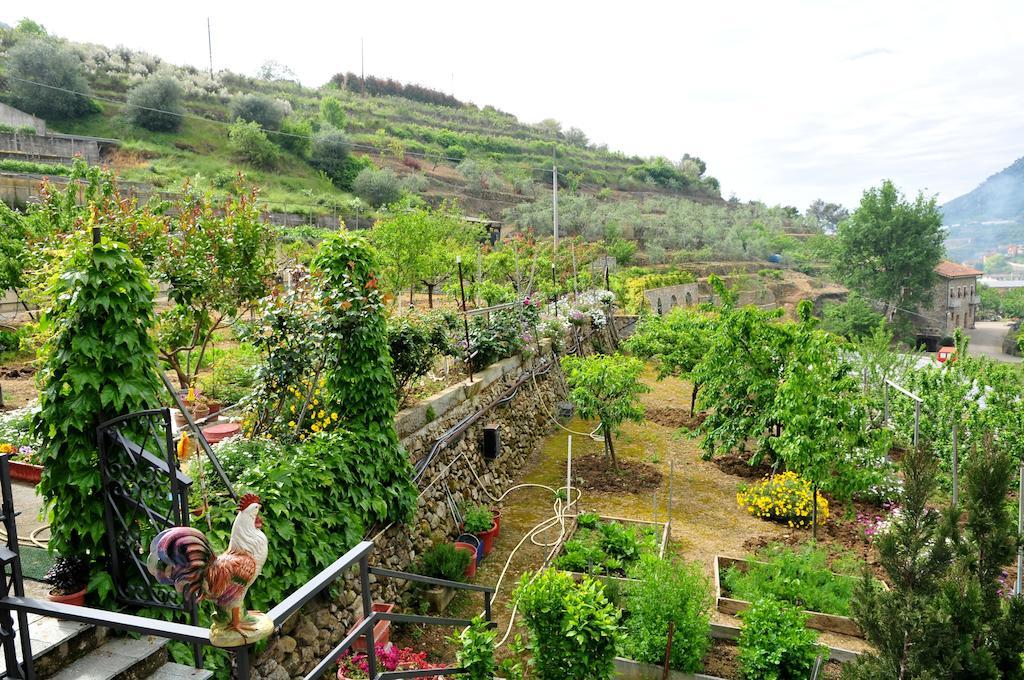 فيلا Le Rose San Biagio della Cima المظهر الخارجي الصورة