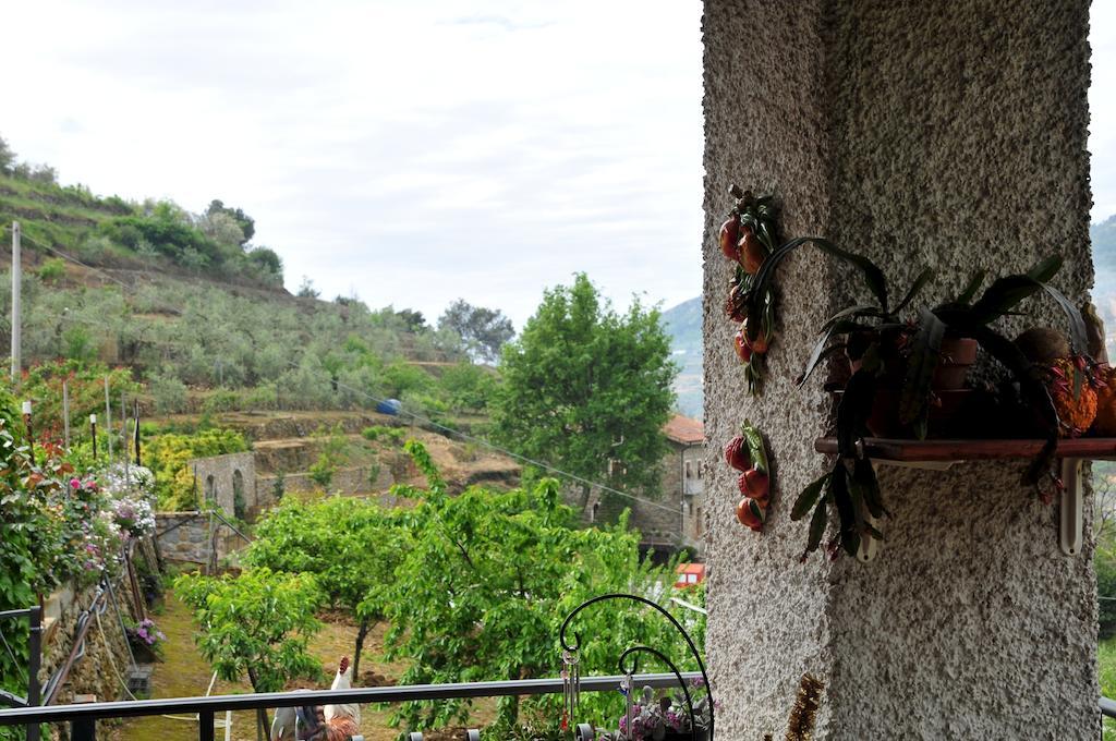 فيلا Le Rose San Biagio della Cima المظهر الخارجي الصورة