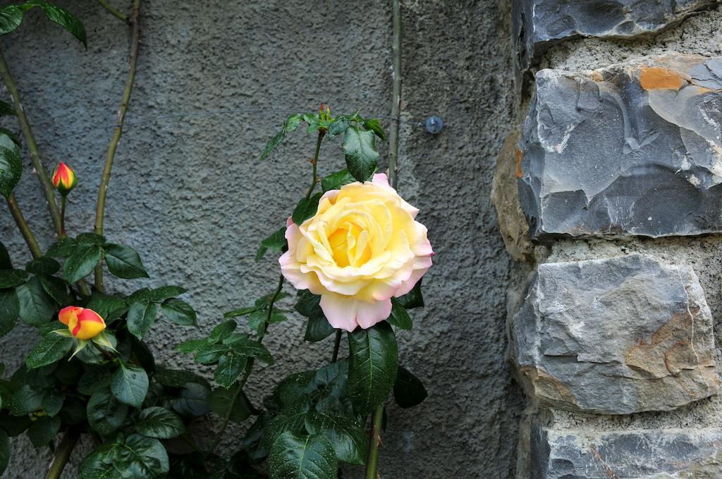 فيلا Le Rose San Biagio della Cima المظهر الخارجي الصورة